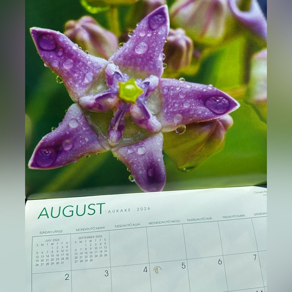 570. FLOWERS of Hawaii 2025 Hawaiian Twelve-Month Wall Calendar - Picture 5 of 5